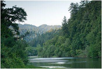 Guerneville Lodge Hotel Guerneville
