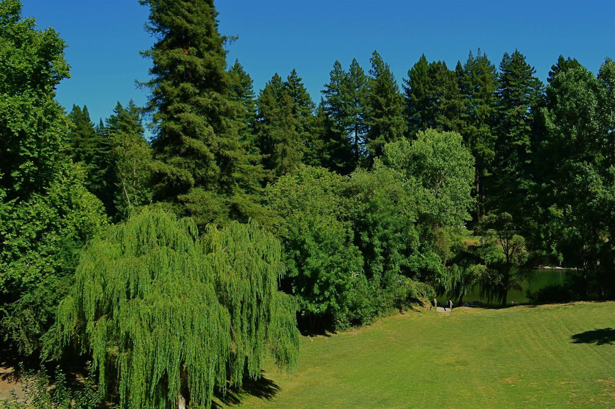 Guerneville Lodge Guerneville