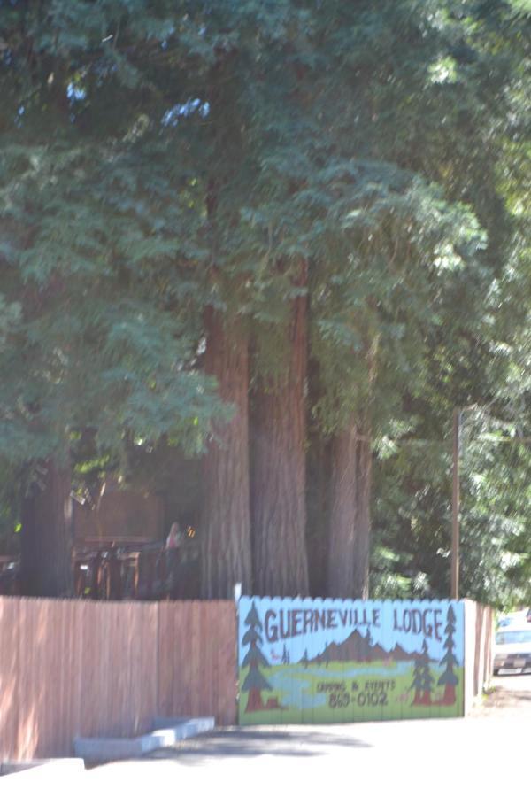 Guerneville Lodge 3*